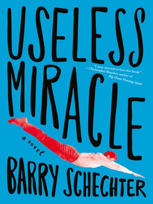 cover image of Useless Miracle